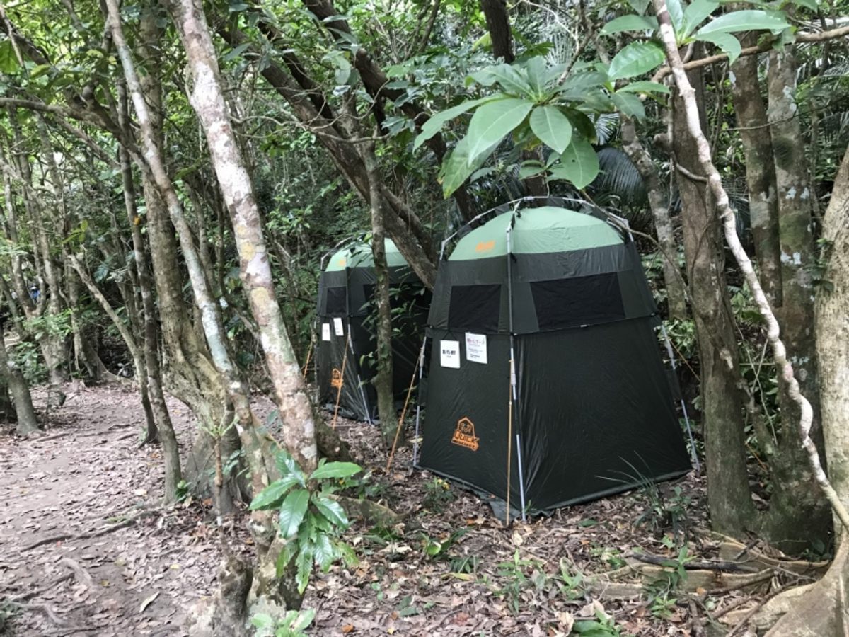The tent toilets, nestled in Iriomote's jungle.