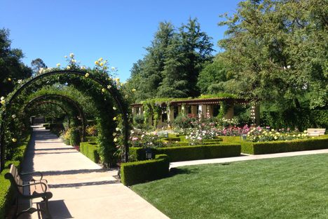 English Perennial and Rose Garden