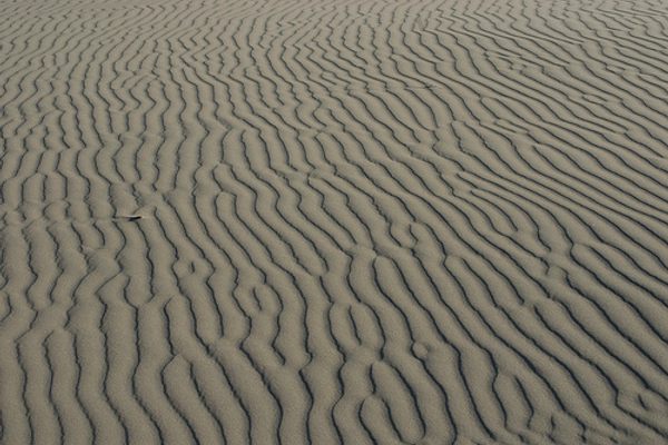 Guadalupe-Nipomo Dunes.