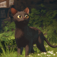 Profile image for oldhabetrot