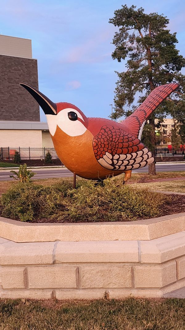 Huntoon Park Wren in Topeka, Kansas