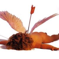 Profile image for marilyn louise