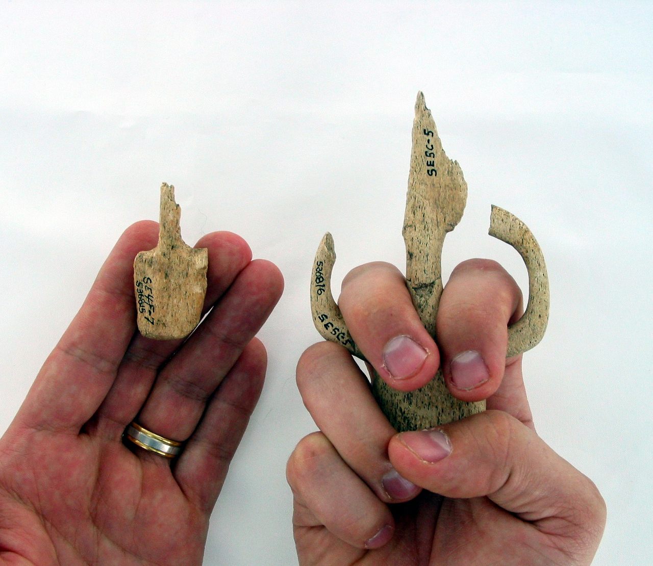 The atlatl fragment on the left might have been used by a child. The one on the right is full size. 