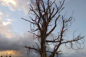 Photo of Anamosa