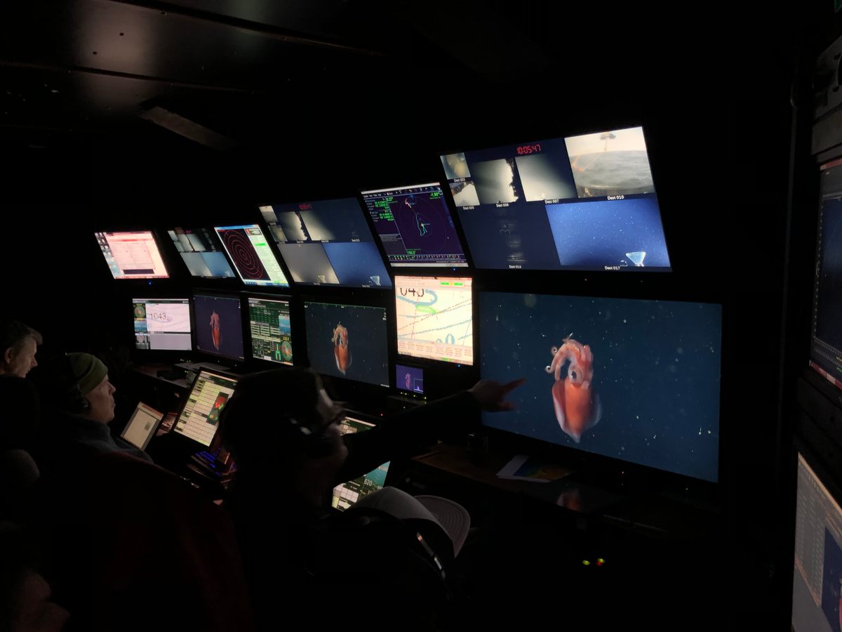 MBARI researchers examine and collect life in the twilight zone from an on-board command center.