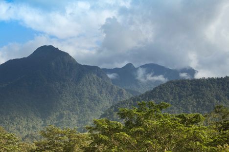 pico bonito national park