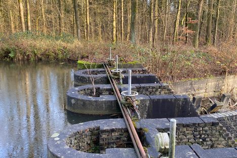 Waterloopbos 