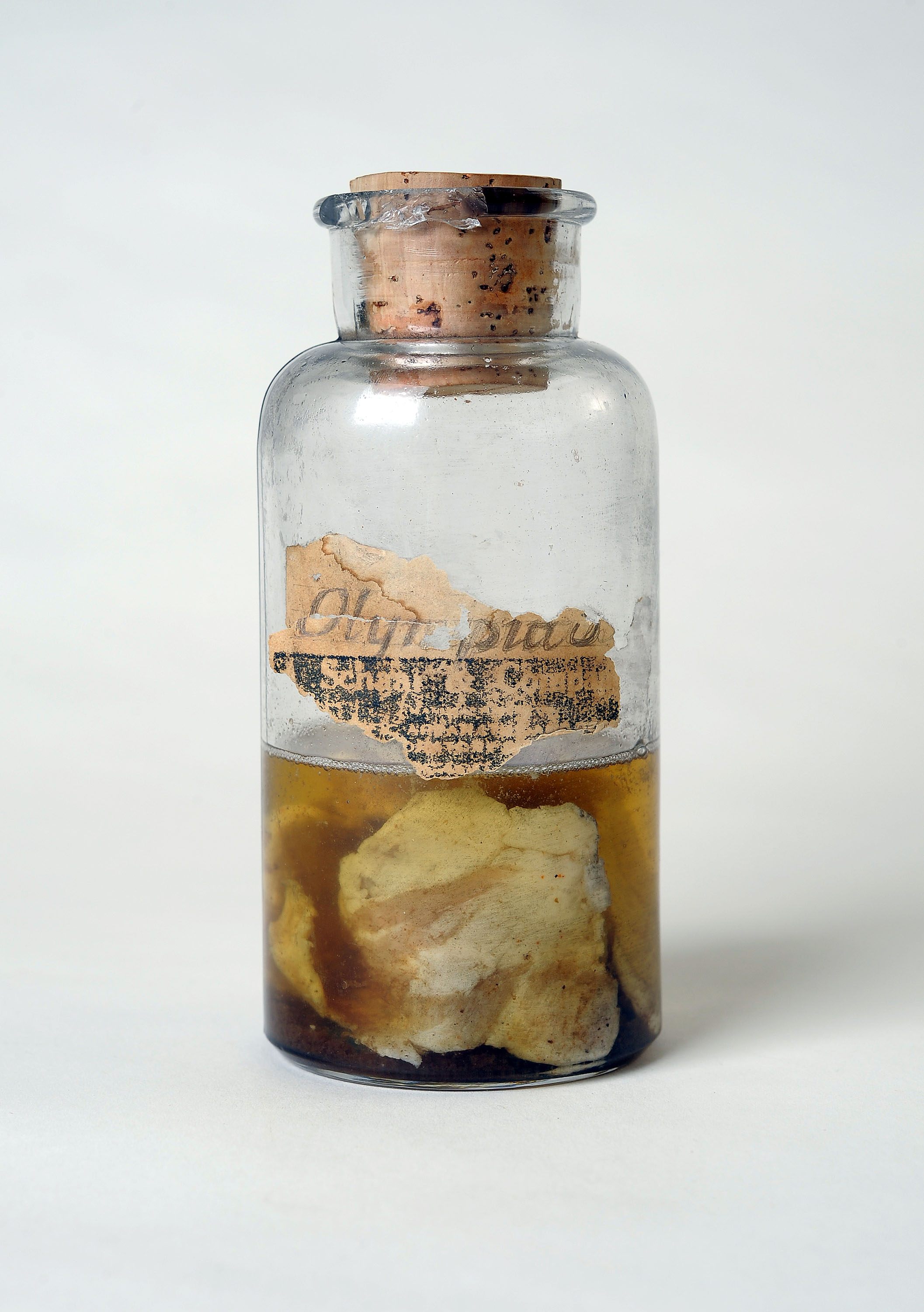 A fateful jar of meat samples from the shower over Olympia Springs.