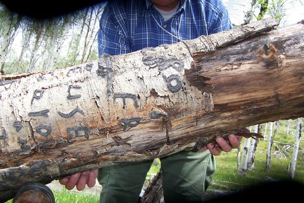 Researchers are rushing to document carvings made by Basque herders, before they're gone. 