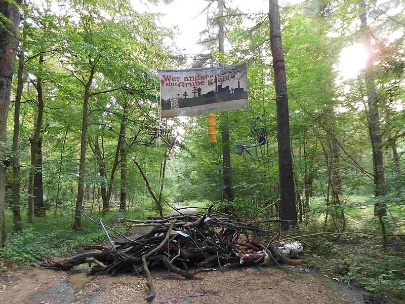 A barricade in Hambach Forest, built by camp members.