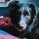 mayaspiracy profile photo