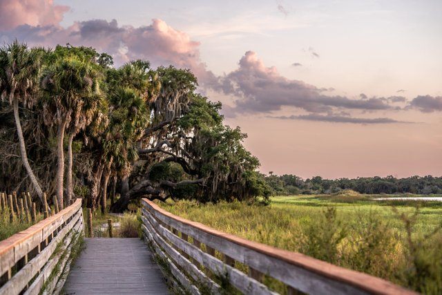 The Legacy Trail, a converted rail trail stretching 18.5 miles, winds through some of Sarasota County’s most spectacular scenery.