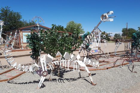Carl's Critter Garden