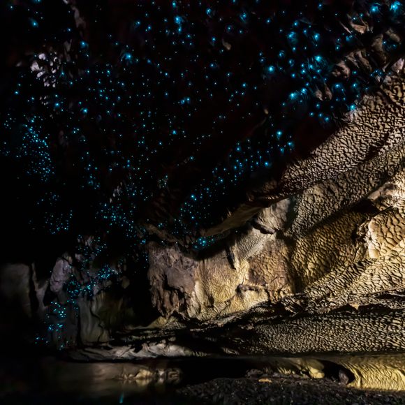 Waipu Caves – Waipu, New Zealand - Atlas Obscura