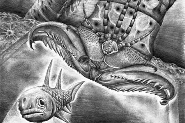 An artist's rendering of the worm.