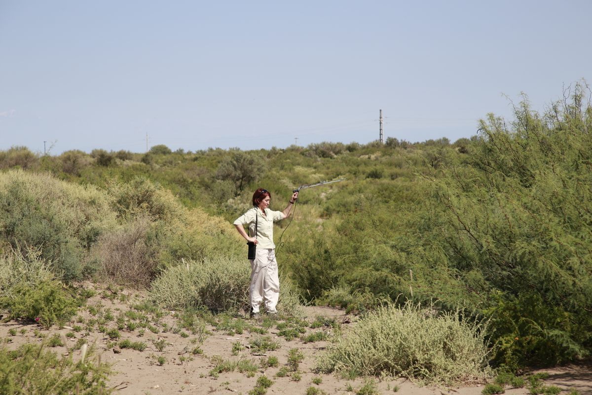 Conservation biologist Mariella Superina conducts fieldwork in the semi-arid scrubland of Argentina's Mendoza Province.