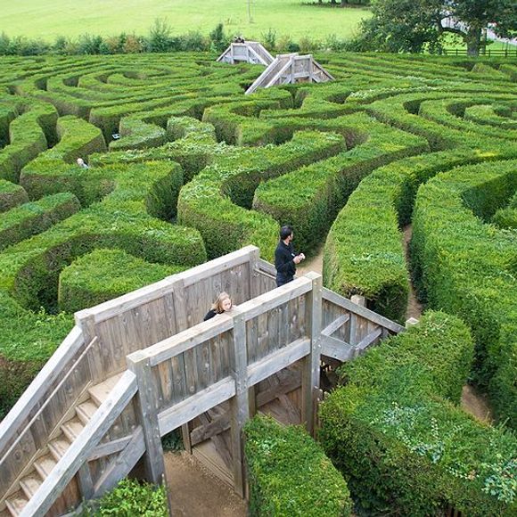 garden maze in england