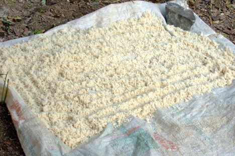 Baleni Salt