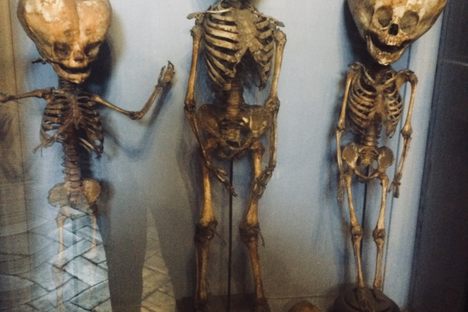 Museo Storico Nazionale Dell' Arte Sanitaria