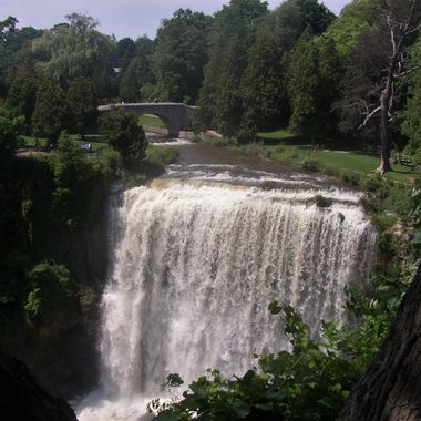 The biggest - Webster's Falls