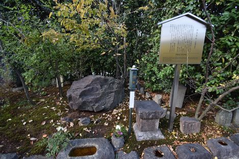 Frog Stone at Gango-ji Temple