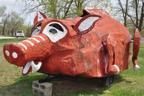 Home-Built Razorback Hog. (Agility Nut)