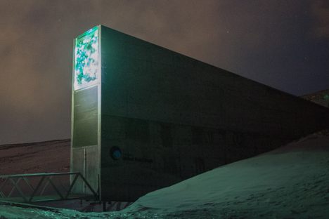 The entrance to the now iconic Seed Vault at dusk, with its illuminated artwork over the door.