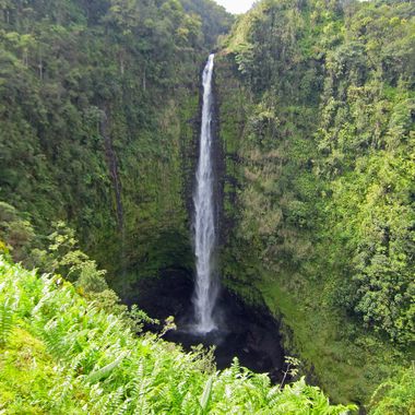 Akaka Falls