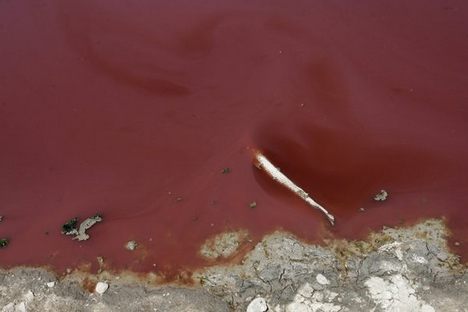 Blood Lake: the O.C. Fisher Reservoir