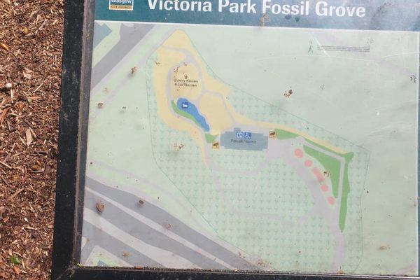 Fossil Grove