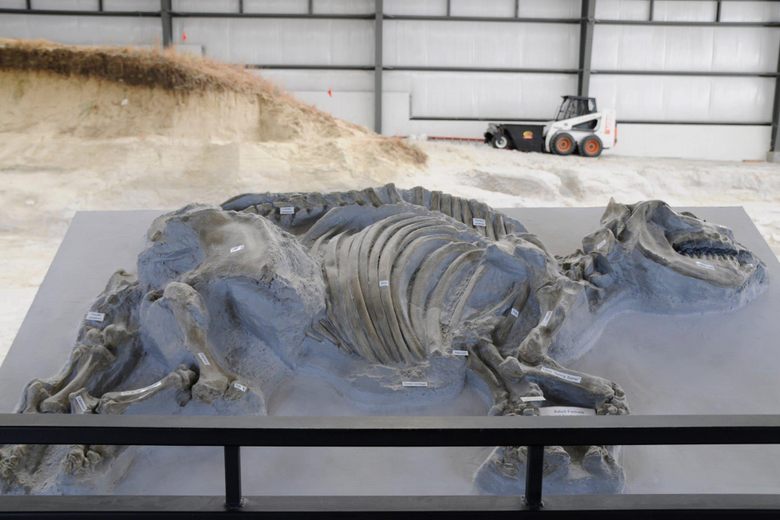 Ashfall Fossil Beds – Royal, Nebraska - Atlas Obscura