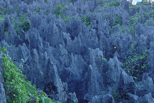 Coral Chasm in Niue