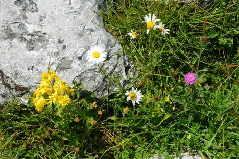The Burren