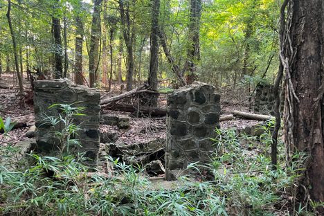 Carhartt Mansion Ruins