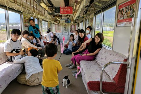 Inside the cat train.