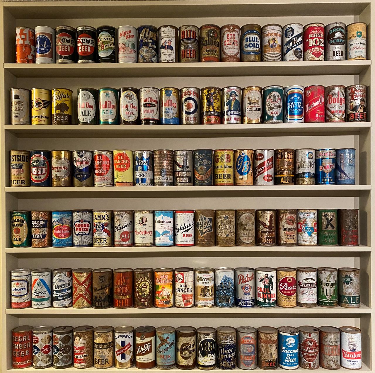 Hundreds of beer cans are displayed in Maxwell’s home, organized first by country and style, then arranged alphabetically by brand and age.