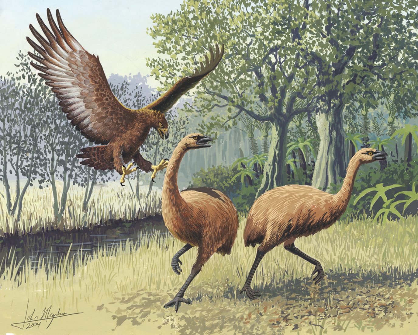 When the Māori First Settled New Zealand, They Hunted Flightless, 500-Pound  Birds - Gastro Obscura