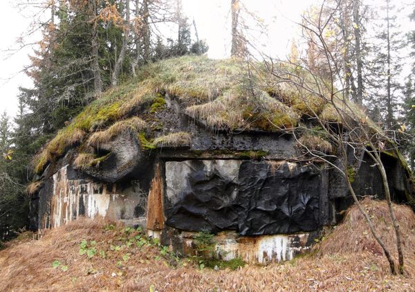 www.atlasobscura.com
