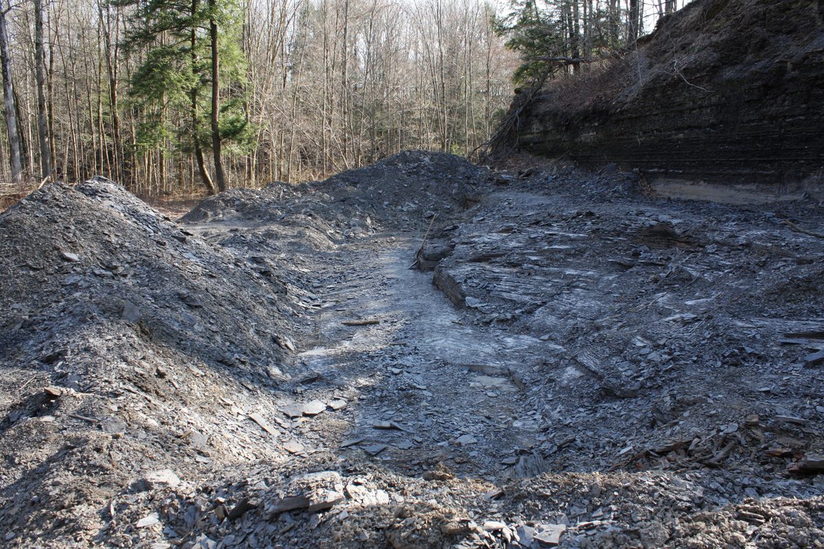 Beecher's Bed, teeming with layers of Ordovician shale.