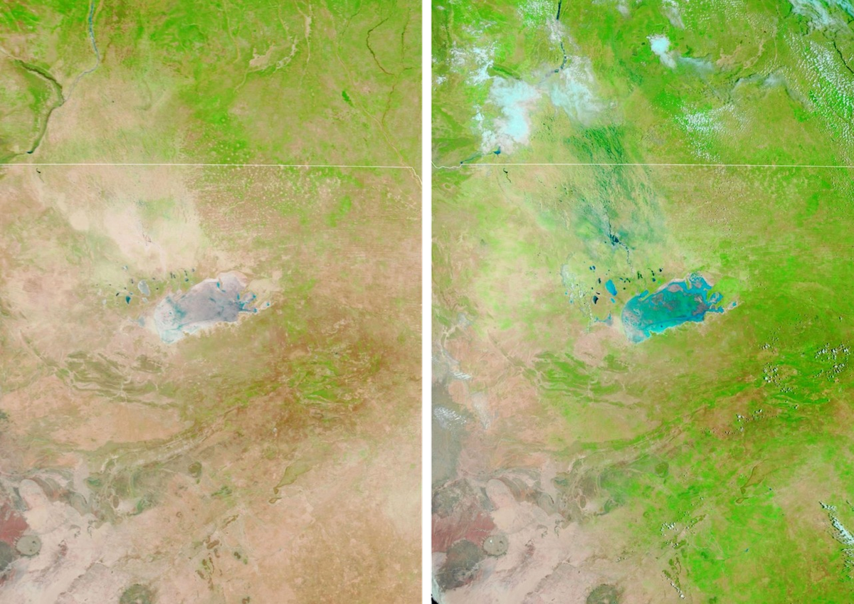 In this false-color image of the Etosha Pan, taken from the Terra satellite, the vegetation is bright green and the water is teal blue. The image on the left was taken on December 11, 2019, and the one on the right is from January 17, 2020.