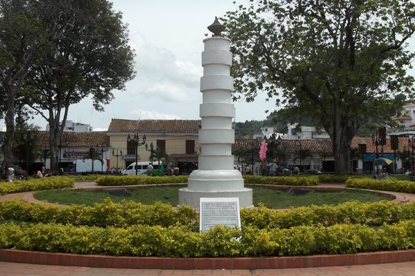 The column.