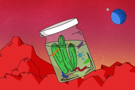 Cool, There's Water on Mars. But Does It Make Good Pickles?