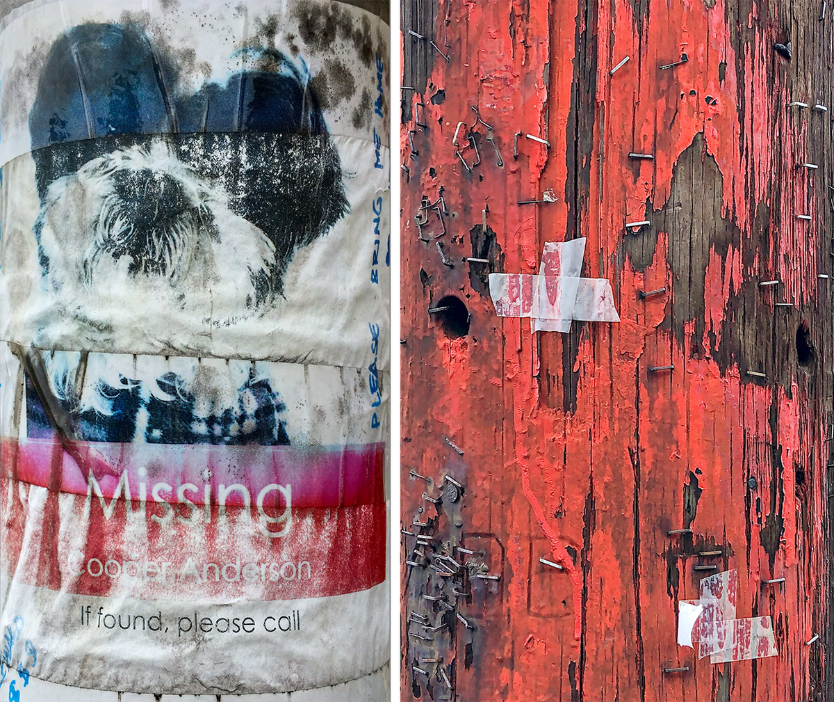 Belmont, MA 2017 (left); Somerville, MA 2019 (right).