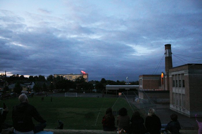 Watching the arrival of Vaux's swifts.