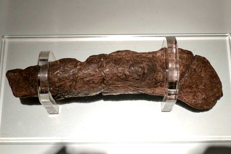Lloyds Bank coprolite.