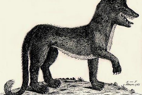 Of Wolves and Men and Delicious Little Girls