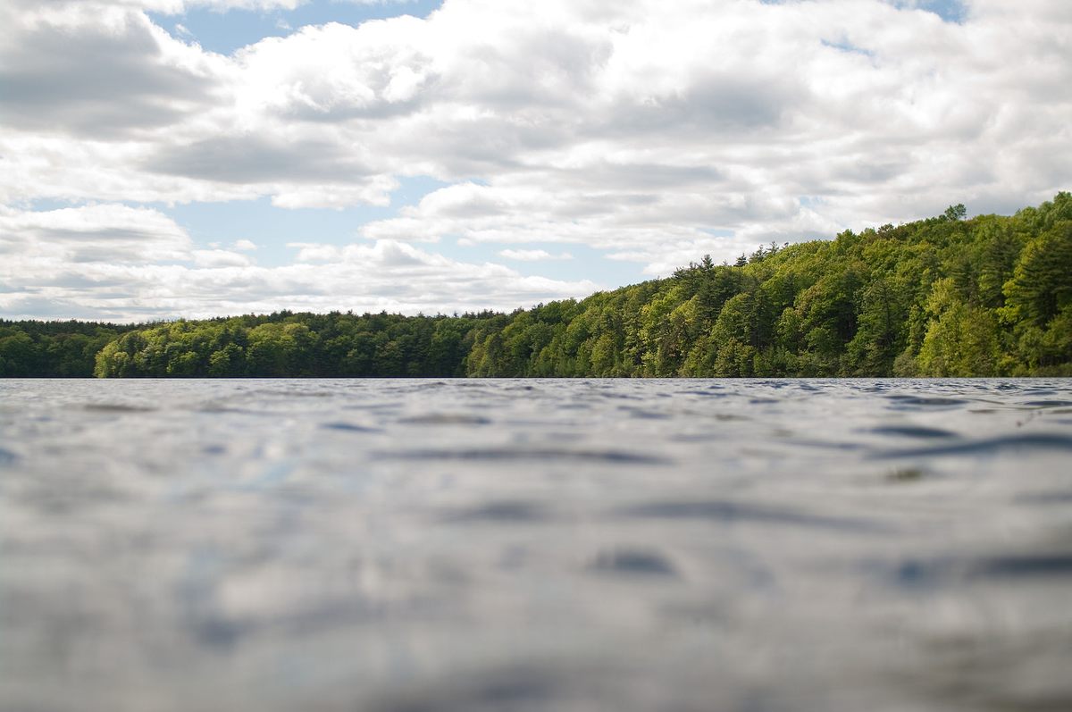 Walden from the water.