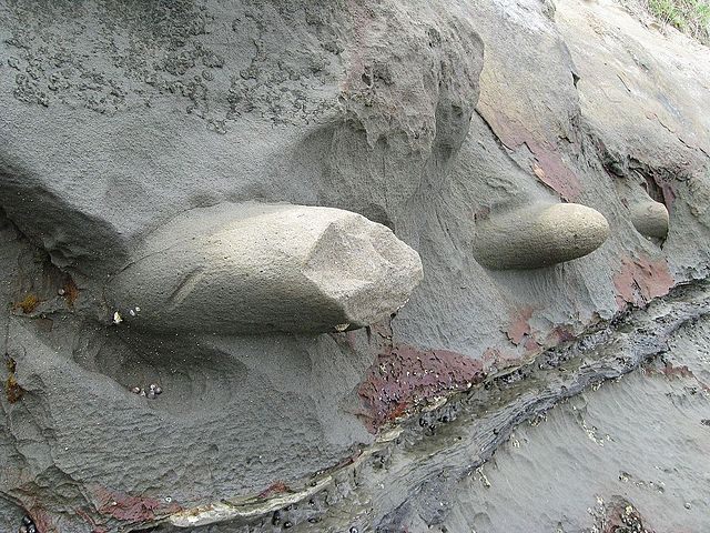 Round concretions in Auckland, New Zealand.