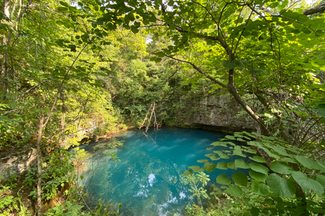 Round Spring