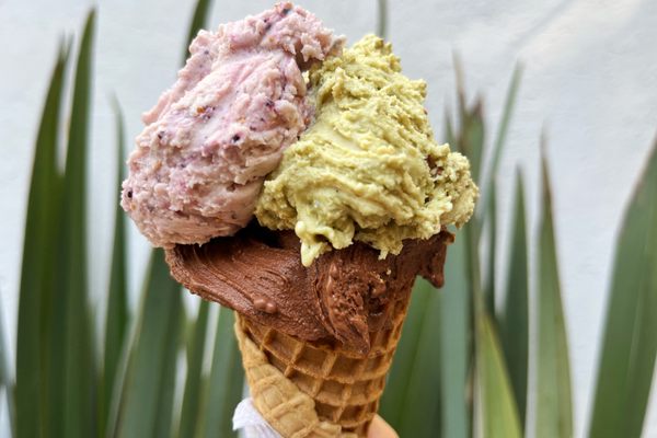 Fig, pistachio, and cacao gelato.
